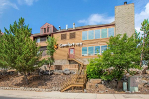 Гостиница Comfort Inn I-17 & I-40 Flagstaff  Флагстафф